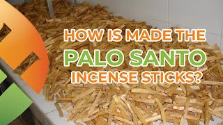 How is made the PALO SANTO incense sticks  Palo Santo Sacred Wood [upl. by Aibara]