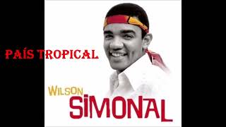 País tropical WILSON SIMONAL [upl. by Asamot721]