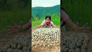 The girl found many quail eggs camping survival outdoors lifehack [upl. by Aneroc]