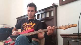 furor gallico  canto dinverno  bass cover [upl. by Lasser]