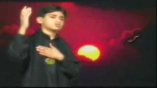 Ban Ja Tu Mera Zamin Zeeshan Haider 2007flv [upl. by Dyun]