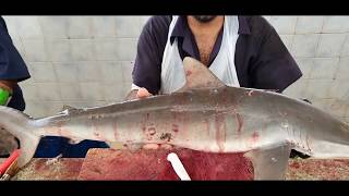 10 KG Shark Fish Cutting Unbelievable Shark Fish Cutting Skills 2023 Shark Fish Meat Cutting [upl. by Anirbas]