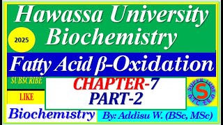 2 De Novo synthesis betaoxidation of fattyliver fat Lipid Metabolism metabolism university [upl. by Esinad]