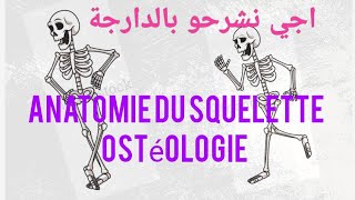 ostéologie humaine  squelette humain [upl. by Lole880]