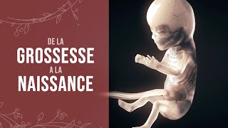 De la grossesse à la naissance dun miracle [upl. by Wylen]