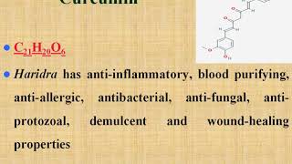 Curcuma longa Turmeric  by Dr Vartika Jain [upl. by Woodberry778]