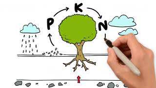 Humus and the chemistry of soil [upl. by Uile]