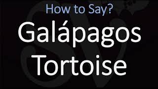 How to Pronounce Galápagos Tortoise CORRECTLY [upl. by Norrag]