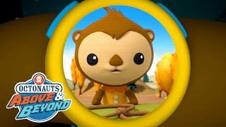 Octonauts Above amp Beyond  Periwinkle  Land Adventures  OctonautsandFriends [upl. by Yspyg]