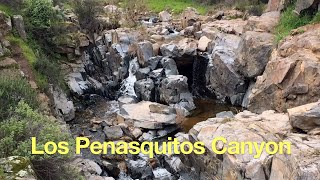 Los Penasquitos Canyon Trail Guide [upl. by Anitak]