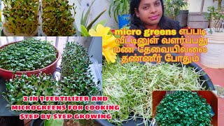 ready to eat in 7 days  how to grow microgreens without soil  microgreens in water in 7 days [upl. by Frederigo]