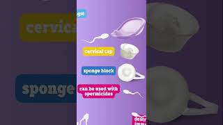 How do contraceptives work [upl. by Dualc]