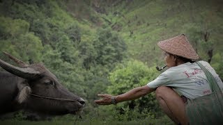 quotResilience Adaptive Measures of Indigenous Karen Peoples to Mitigate Climatic Hazardsquot [upl. by Marcella757]