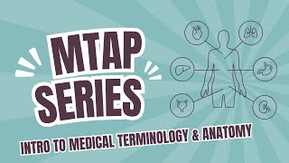 Intro to Medical Terminology amp Anatomy [upl. by Allegra636]