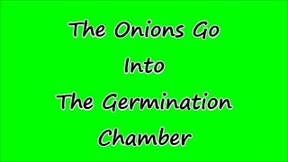 The Onions Go Into The Germination Chamber [upl. by Yggep]