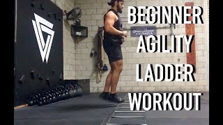 Beginner Agility Ladder Workout [upl. by Acinej]