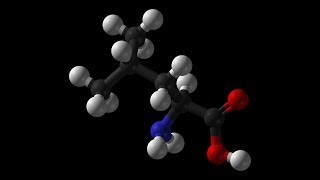 Leucine  Muscle Growth Bone Skin Growth Hormone Blood Sugar Wound Healing Insulin NADH ATP [upl. by Anoniw767]