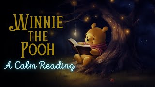 🧸 Reading of WinniethePooh  Full Audiobook for Sleep 😴 [upl. by Smada]