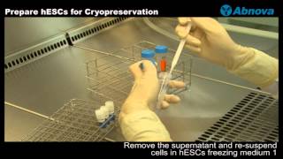 Prepare hESCs for Cryopreservation [upl. by Plantagenet546]