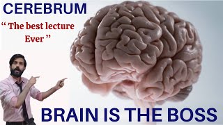 Control and Coordination  Cerebrum  Telencephalon  Olfactory lobes  Rhinencephalon  Made Easy [upl. by Schroder]