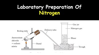 Laboratory Preparation Of Nitrogen [upl. by Luahs]