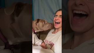 Dog Finds Out Owner Can SPEAK🤣 [upl. by Pickering]