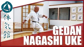 HOW TO GEDAN NAGASHI UKE  ShÅtÅkan Karate Technique by Fiore Tartaglia [upl. by Edwards]