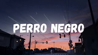 Bad Bunny x Feid  PERRO NEGRO LetraLyrics [upl. by Gregor]