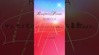 🎤ラズベリードリーム REBECCA ささやきcover [upl. by Eittak]