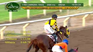 Gran Premio Latinoamericano 2024  Hipódromo de Monterrico [upl. by Pickett]