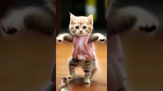 Meow meow song trending shortsfeed shorts cat [upl. by Jereld]