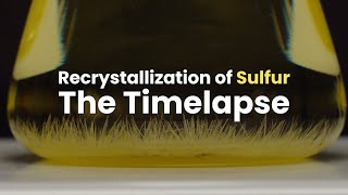 Timelapse  Recrystallization of Sulfur with Xylene Monoclinic [upl. by Kemble]