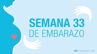 Semana 33 de embarazo  33 semanas de embarazo  El embarazo semana a semana [upl. by Trueblood154]