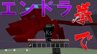 【マイクラWiiU】エンドラに拳で抵抗してみた [upl. by Epuladaugairam909]