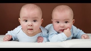 IVF and twins [upl. by Chancey]