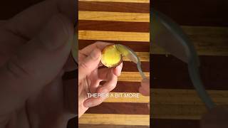 Secrets of the Avocado avocado guacamole [upl. by Rivy]