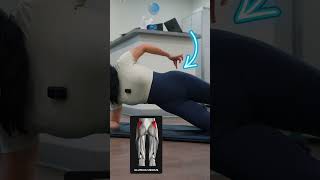 The MOST EFFECTIVE Exercise to target your gluteus medius muscle gluteusmedius [upl. by Malchy172]