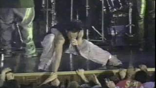 DLG  No Morirá  Live in México  Ritmo Son Latino 1999 [upl. by Merl58]