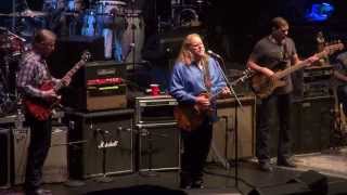 Allman Brothers Ive Been Loving You Too Long  31213  Beacon Theater [upl. by Yvi181]