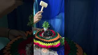 Piñata cake breaking cake piñatacake pinata homebakersindia homebakerybusiness cakeshopindia [upl. by Akalam]