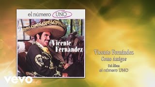 Vicente Fernández  Como Amigos Cover Audio [upl. by Medora]