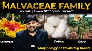 Malvaceae Family One Shot by SSM Sir  According to New NEET Syllabus by NMC neetkakajee abksir [upl. by Rosenzweig]