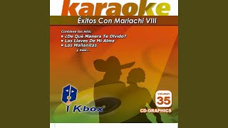 Las Mañanitas Karaoke Version [upl. by Forsyth882]