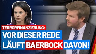 Terrorfinanzierung Da hatte es Baerbock aber eilig Dr Michael Espendiller  AfDFraktion im BT [upl. by Jarietta]