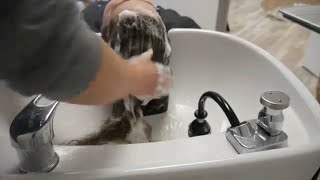 ASMR Hair WashingShampooing Hair Sectioning Combing amp Toning Pt 2 [upl. by Edaw442]