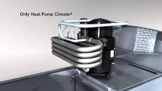 Winterhalter Conveyor dishwasher  Heat Pump [upl. by Thin]