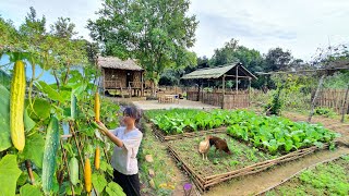 Full Video 75 Days of farm life Gardening Farming Cooking Animal Care  Sơn Thôn [upl. by Merv]