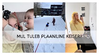 ELU VÄIKSE LAPSEGA POLE NÕRKADELE  vlog [upl. by Cone]