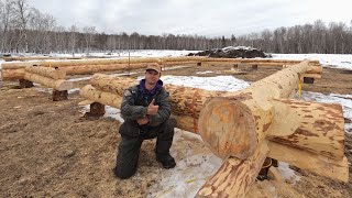 Building My Log Home Pt 4  Scribing the First Logs Onto the Wall [upl. by Grider]