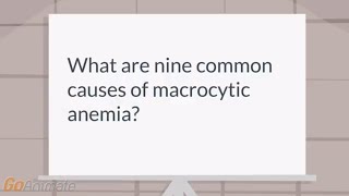 What are the causes of macrocytic anemia [upl. by Mccormick]